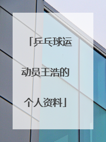 乒乓球运动员王浩的个人资料