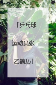 乒乓球运动员张乙简历