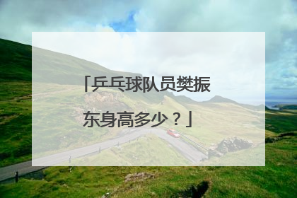 乒乓球队员樊振东身高多少？