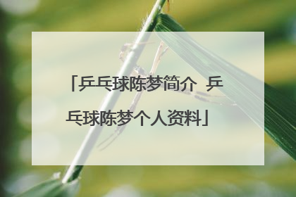 乒乓球陈梦简介 乒乓球陈梦个人资料