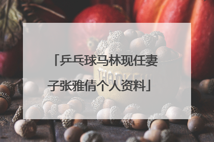 乒乓球马林现任妻子张雅倩个人资料