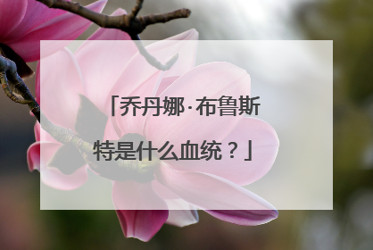 乔丹娜·布鲁斯特是什么血统？