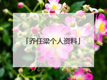 乔任梁个人资料