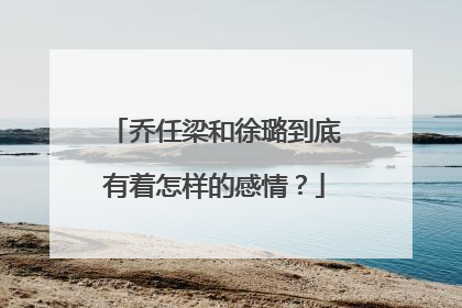 乔任梁和徐璐到底有着怎样的感情?