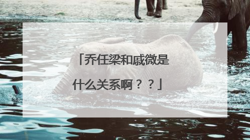 乔任梁和戚微是什么关系啊？？