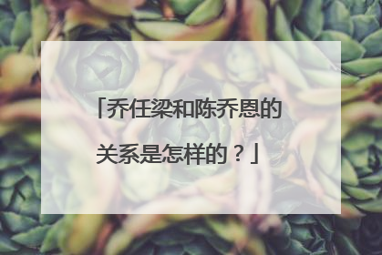 乔任梁和陈乔恩的关系是怎样的?