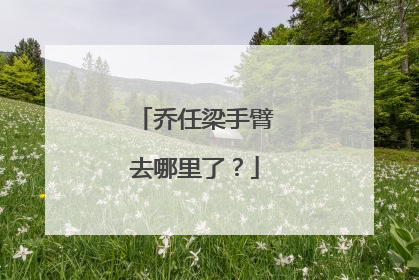 乔任梁手臂去哪里了？