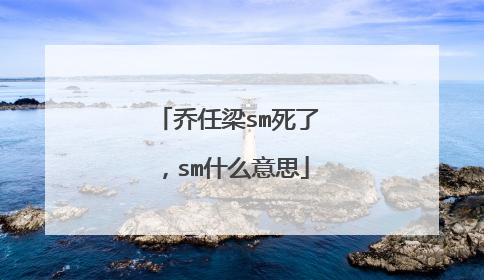 乔任梁sm死了，sm什么意思