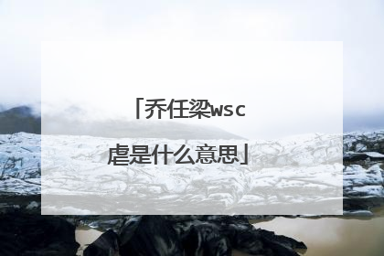 乔任梁wsc虐是什么意思