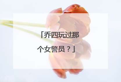 乔四玩过那个女警员?