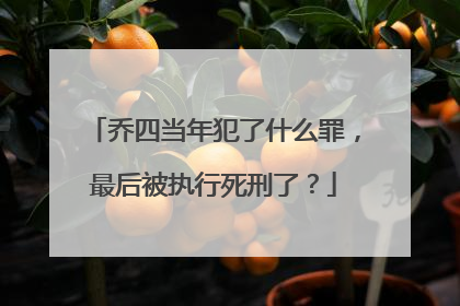 乔四当年犯了什么罪，最后被执行死刑了？