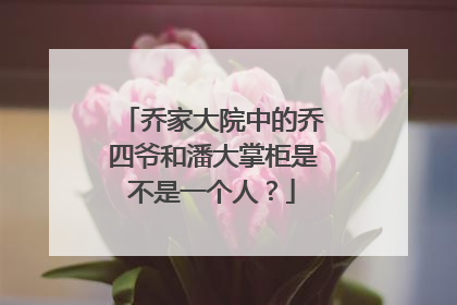 乔家大院中的乔四爷和潘大掌柜是不是一个人?