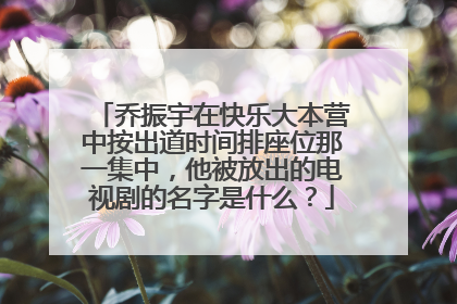 乔振宇在快乐大本营中按出道时间排座位那一集中，他被放出的电视剧的名字是什么？