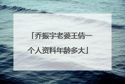 乔振宇老婆王倩一个人资料年龄多大