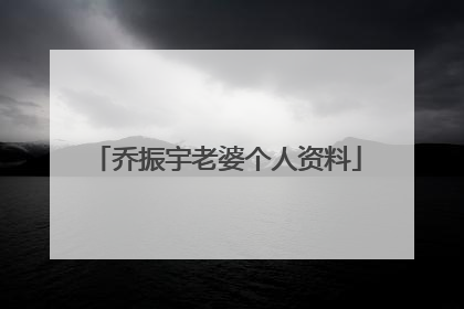 乔振宇老婆个人资料