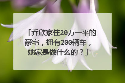 乔欣家住20万一平的豪宅,拥有200辆车,她家是做什么的?