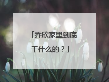 乔欣家里到底干什么的?