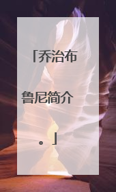 乔治布鲁尼简介。