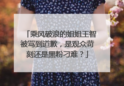 乘风破浪的姐姐王智被骂到道歉,是观众苛刻还是黑粉刁难?