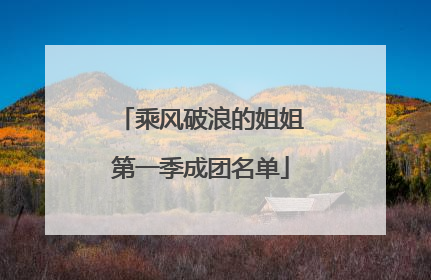 乘风破浪的姐姐第一季成团名单