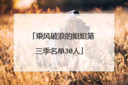 乘风破浪的姐姐第三季名单30人