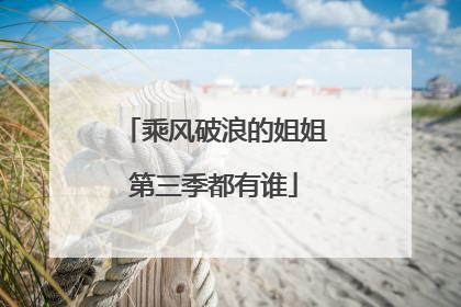 乘风破浪的姐姐第三季都有谁