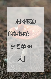 乘风破浪的姐姐第二季名单30人