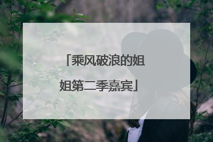 乘风破浪的姐姐第二季嘉宾