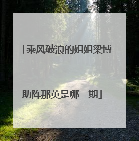 乘风破浪的姐姐梁博助阵那英是哪一期