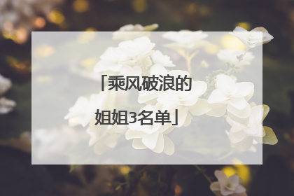 乘风破浪的姐姐3名单