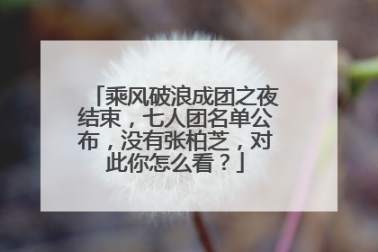 乘风破浪成团之夜结束，七人团名单公布，没有张柏芝，对此你怎么看？