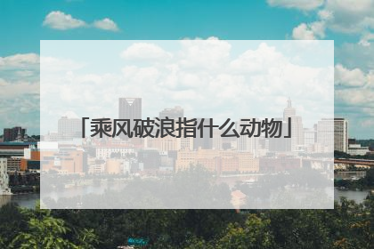 乘风破浪指什么动物