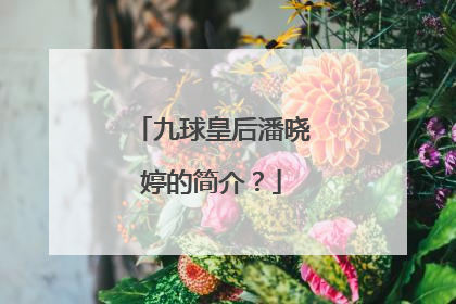 九球皇后潘晓婷的简介?