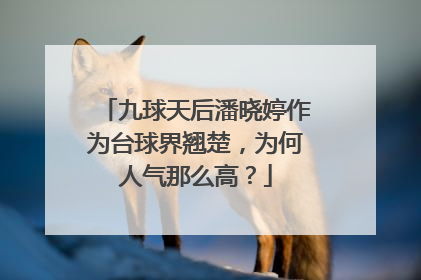 九球天后潘晓婷作为台球界翘楚，为何人气那么高？