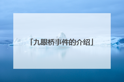 九眼桥事件的介绍