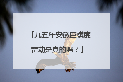 九五年安徽巨蟒度雷劫是真的吗？