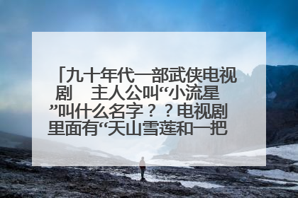九十年代一部武侠电视剧 主人公叫“小流星”叫什么名字??电视剧里面有“天山雪莲和一把剑一起出世”