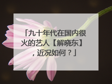 九十年代在国内很火的艺人【解晓东】,近况如何?