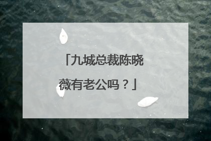 九城总裁陈晓薇有老公吗？