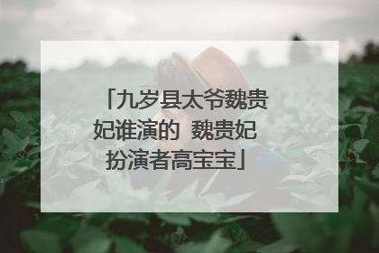 九岁县太爷魏贵妃谁演的 魏贵妃扮演者高宝宝