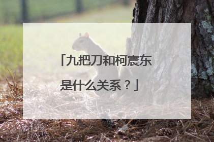 九把刀和柯震东是什么关系？