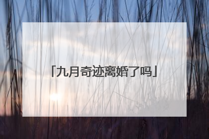 九月奇迹离婚了吗