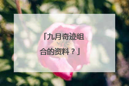 九月奇迹组合的资料？