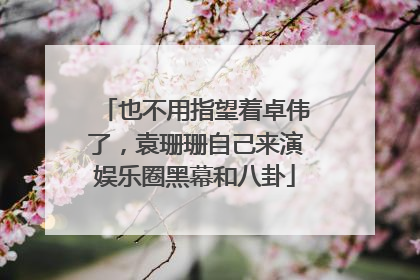 也不用指望着卓伟了，袁珊珊自己来演娱乐圈黑幕和八卦