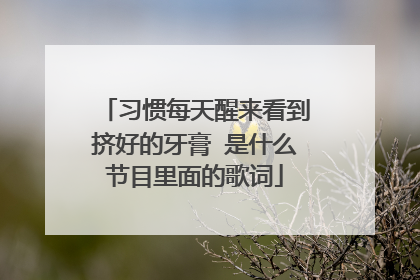 习惯每天醒来看到挤好的牙膏 是什么节目里面的歌词