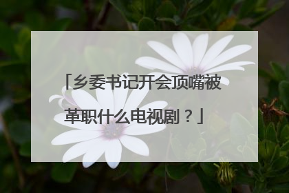 乡委书记开会顶嘴被革职什么电视剧？