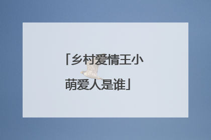 乡村爱情王小萌爱人是谁