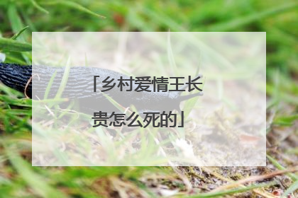 乡村爱情王长贵怎么死的