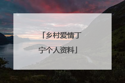 乡村爱情丁宁个人资料