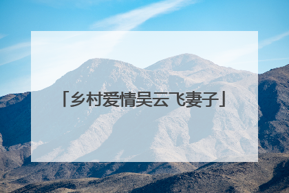 乡村爱情吴云飞妻子